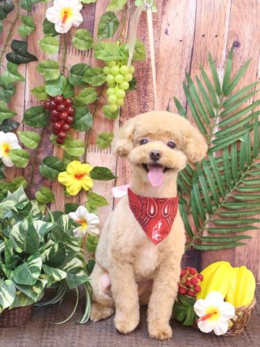 20230801ぽっきーくん